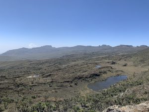 mountain elgon 